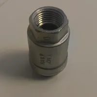 Clapet anti-retour - inox 304 - 1/2" FF — image principale