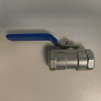 Vanne simple - inox 304 - 1/2" FF — image principale
